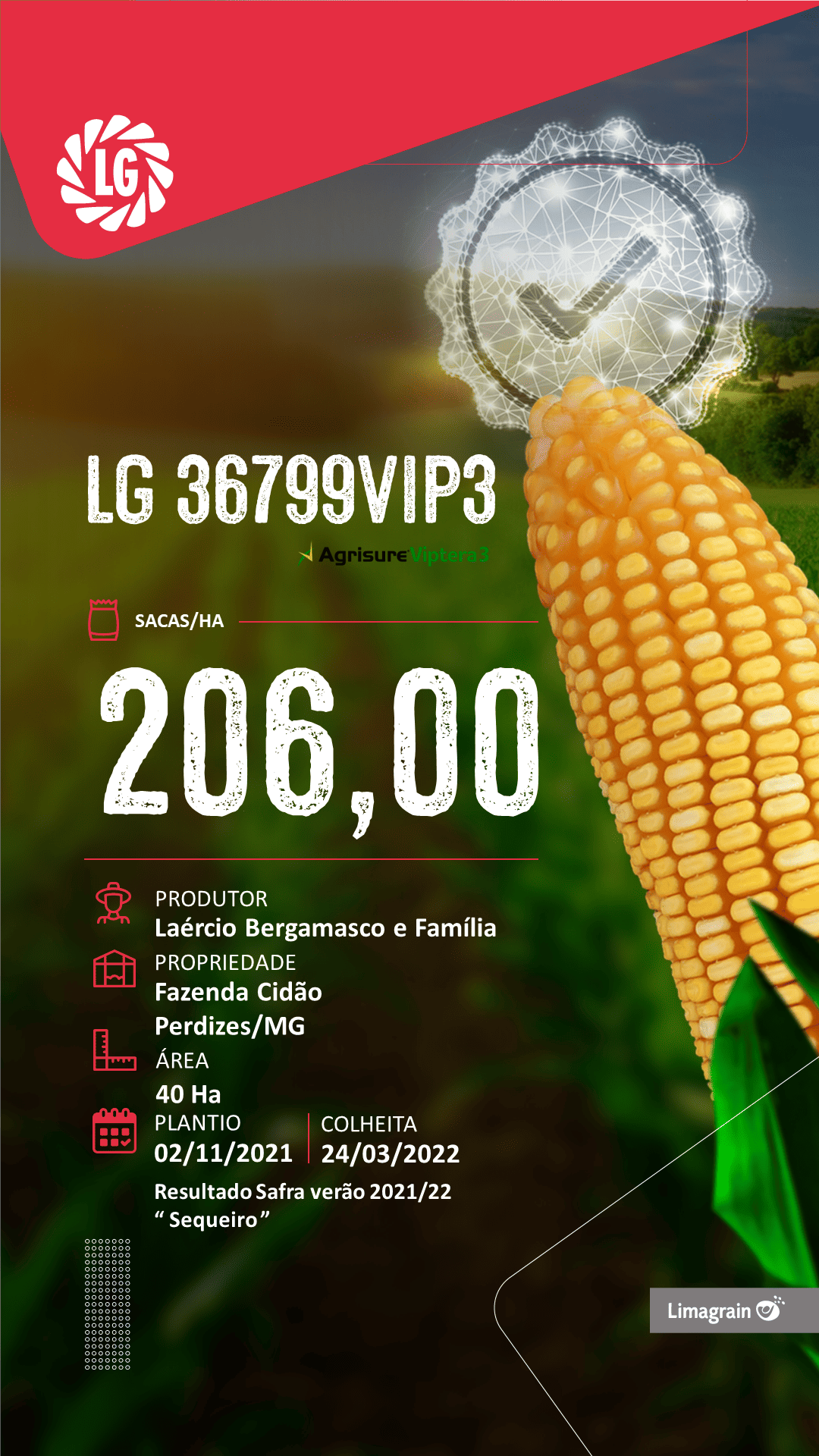 resultado-de-produtividade-36799